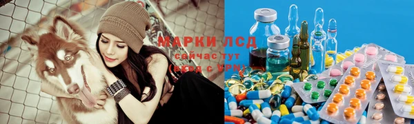молекула духа Снежинск