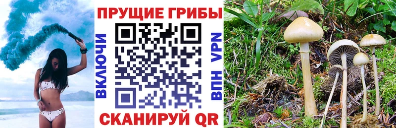 Псилоцибиновые грибы GOLDEN TEACHER  МЕГА сайт  Белозерск 